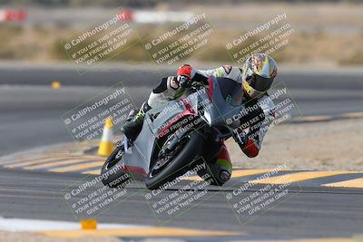 media/Jan-19-2024-Apex Assassins-CVMA Friday (Fri) [[74e94f2102]]/Trackday 1/Session 2 (Turn 11)/